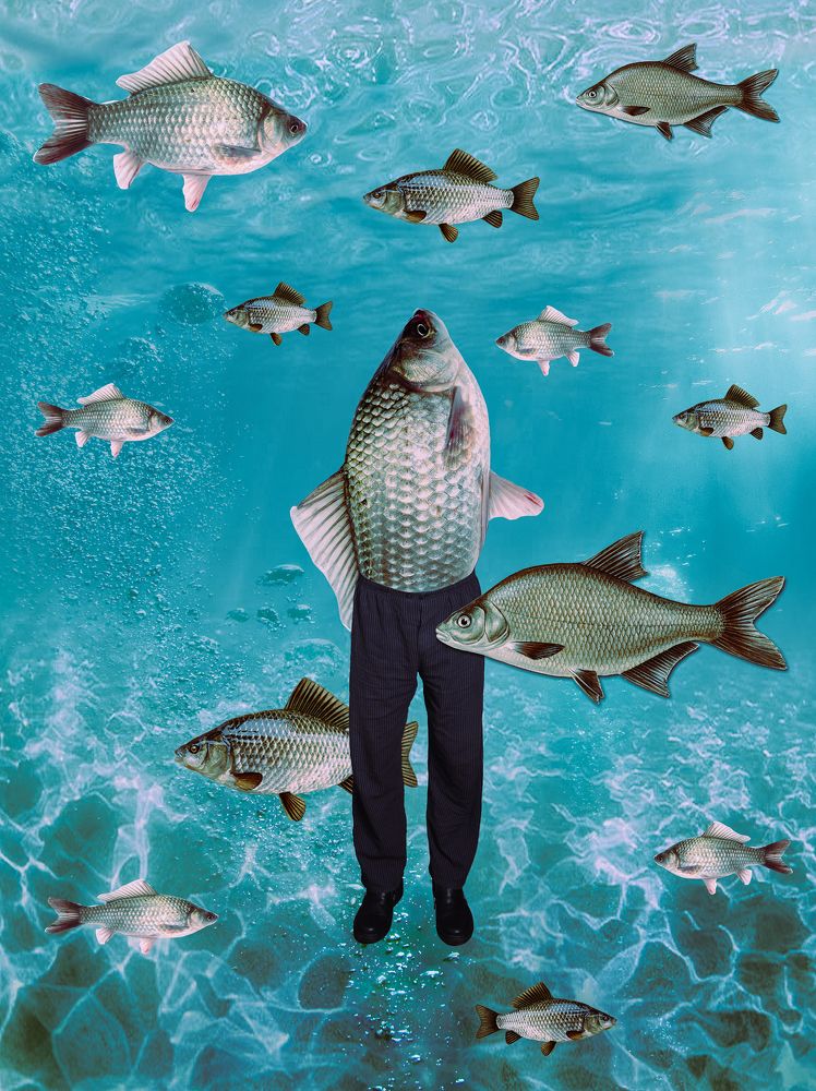 Photograph by Ирина Кленкова