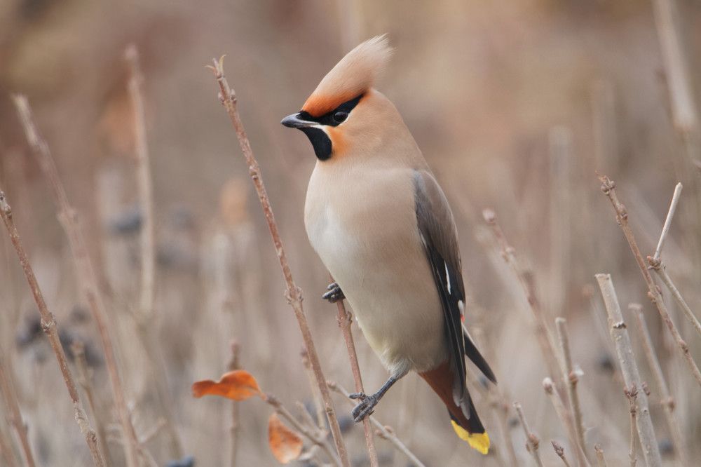 Photograph by Мария Заболотная