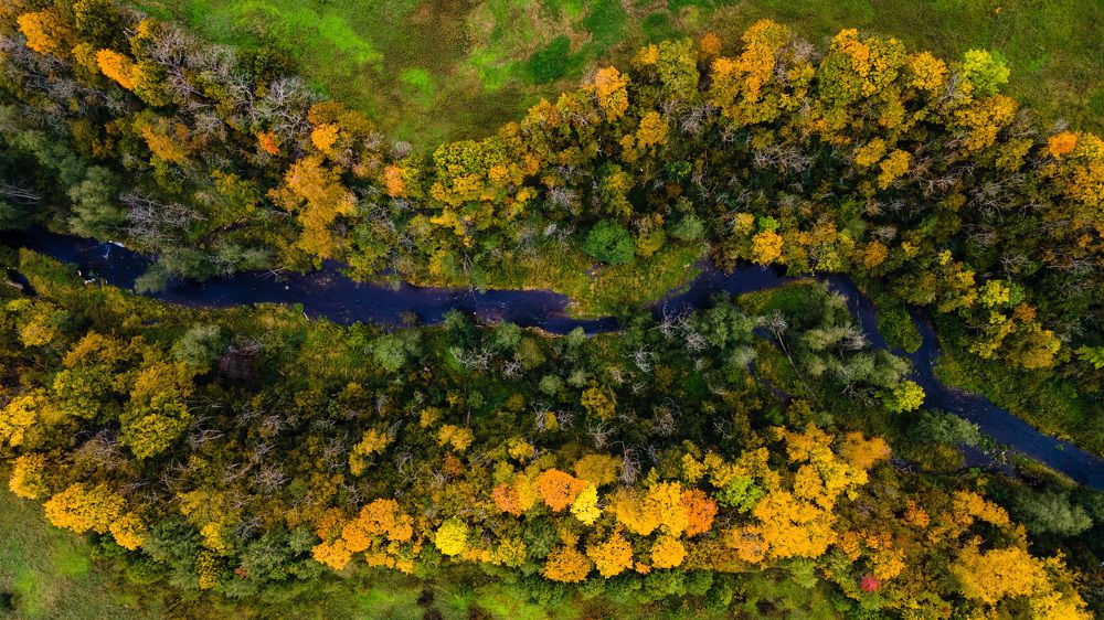 Photograph by Аркадий Старочкин