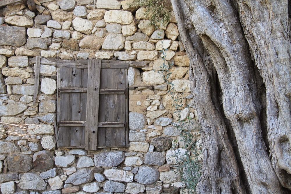 Photograph by Huseyin Mustafa Guvendag