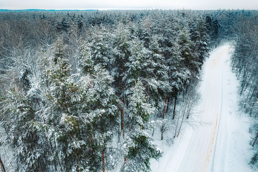 Photograph by Паша Савельев