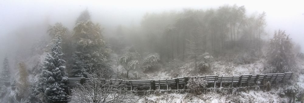 Фотография автора Владимир Пронин