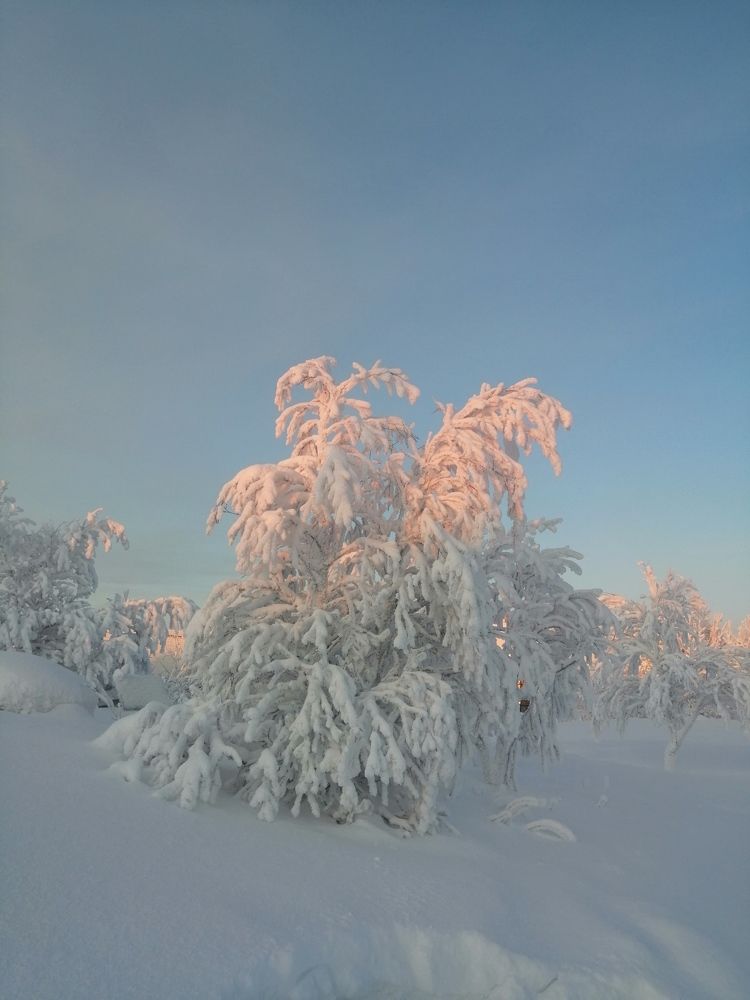 Фотография автора Татьяна Савранчук