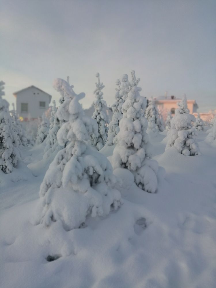 Фотография автора Татьяна Савранчук