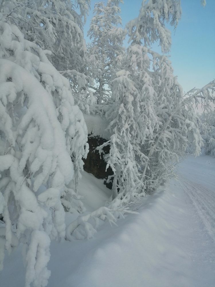 Фотография автора Татьяна Савранчук