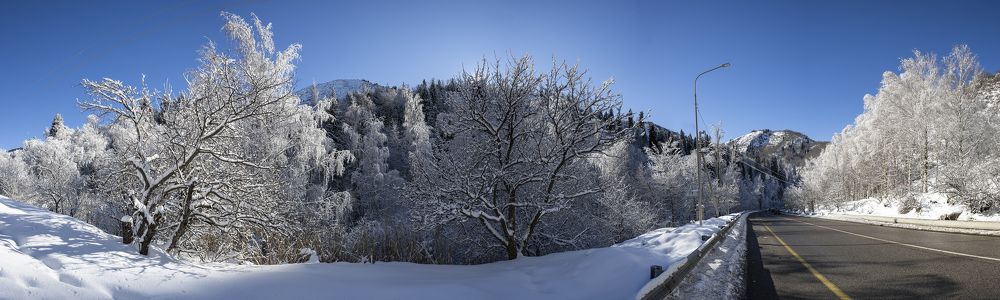 Фотография автора Владимир Пронин