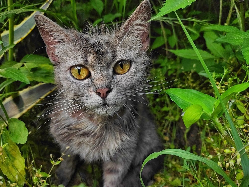 Photograph by Сергей Пюннинен