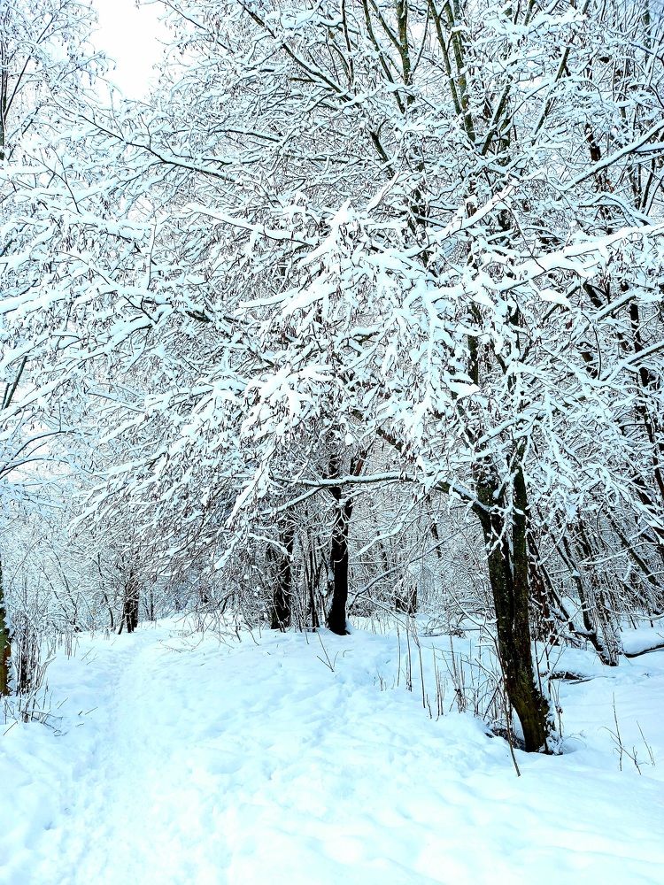 Photograph by Ольга Юрченко