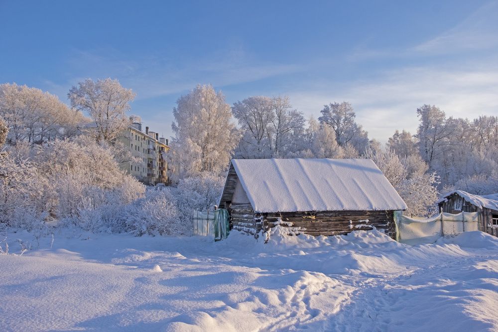 Фотография автора Наталья Липовская