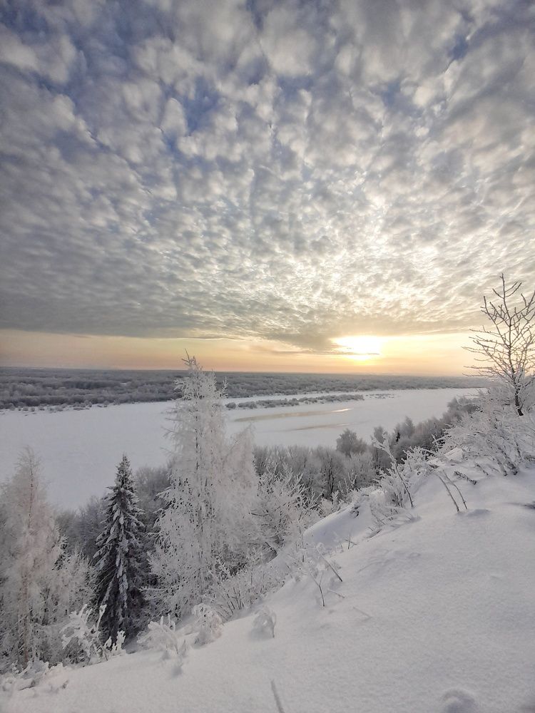 Фотография автора Тамара Караваева