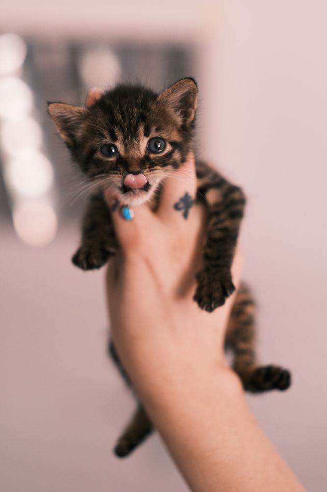 Photograph by Halil İbrahim KAHYA