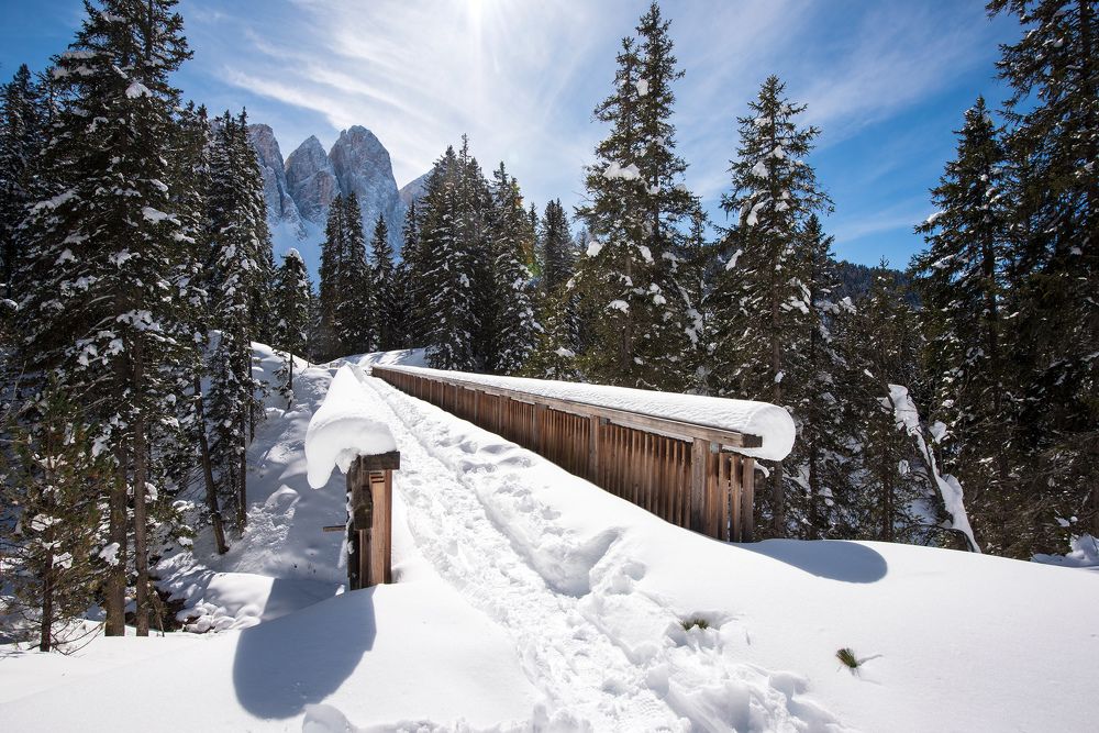 Фотография автора Сергей Сынтин