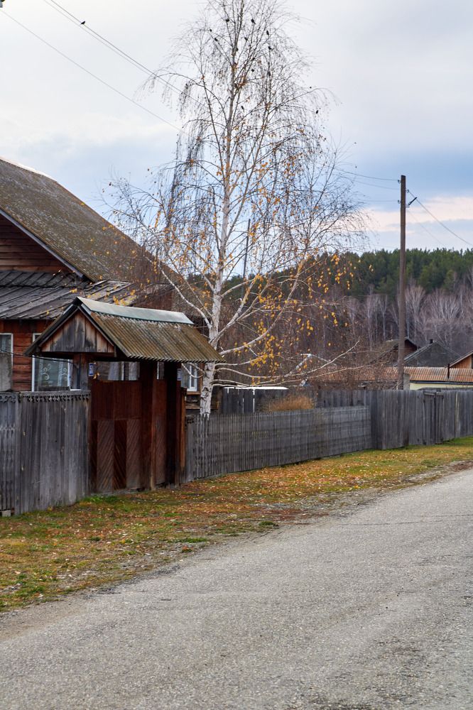 Photograph by Алексей Швецов