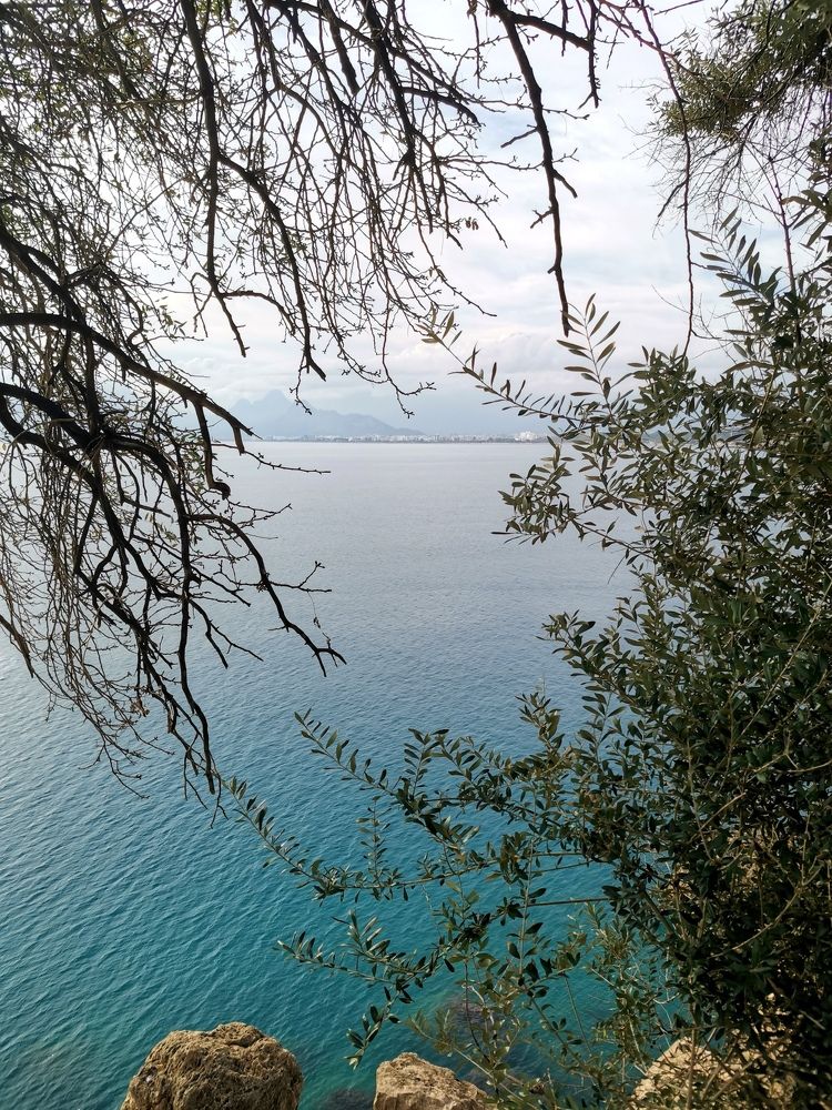 Photograph by Дарья Овчинникова