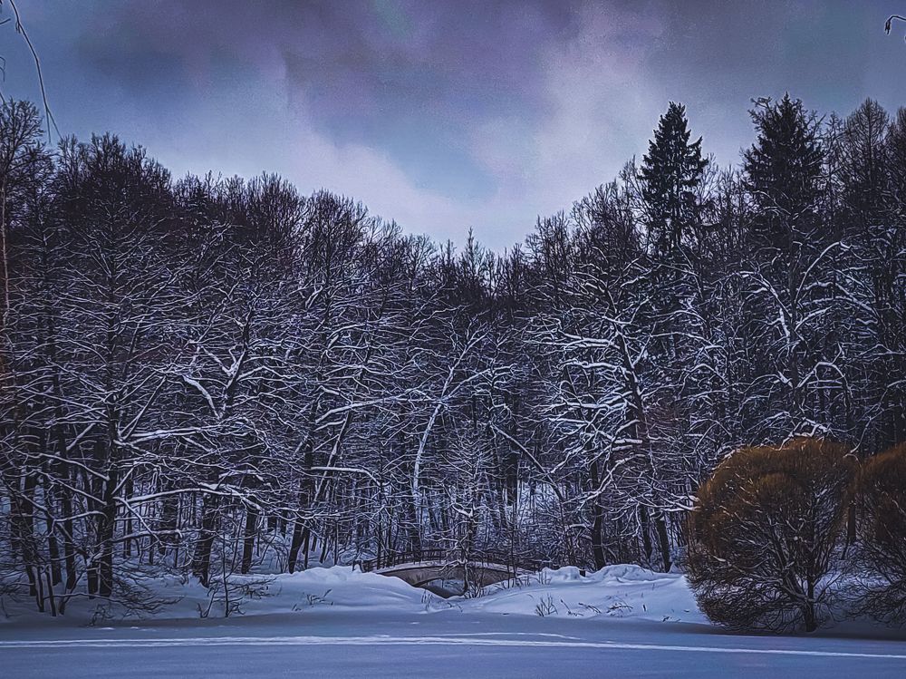 Зима в Царицыно