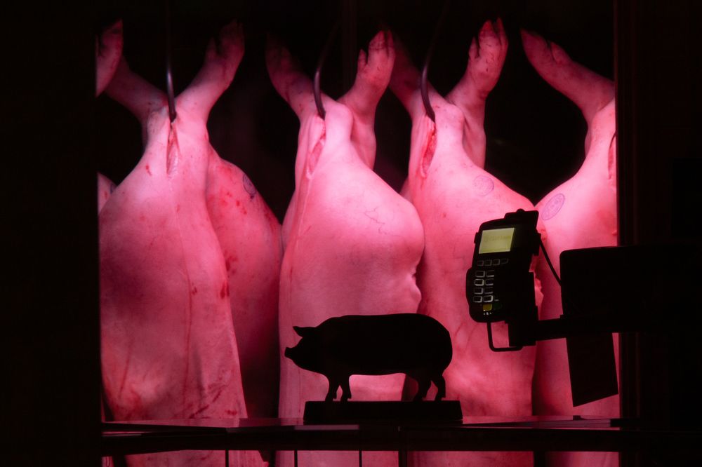 Photograph by Сергей Пюннинен