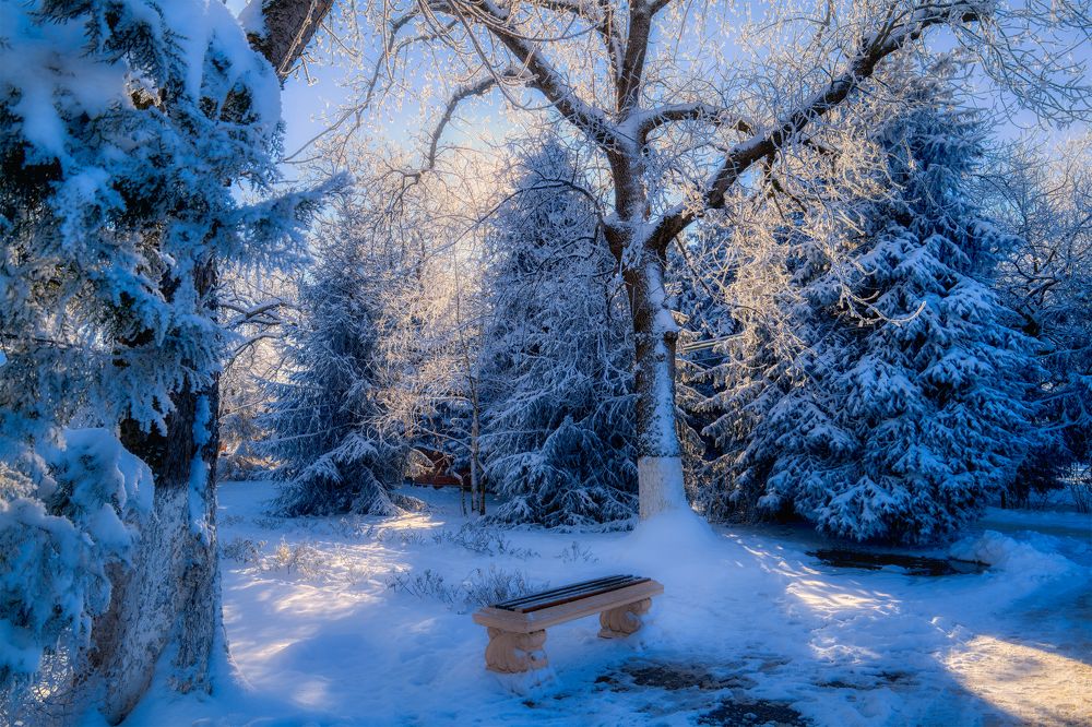 Photograph by Владимир Кваша