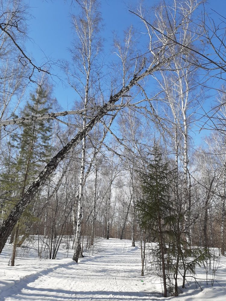 Photograph by Елена Горева