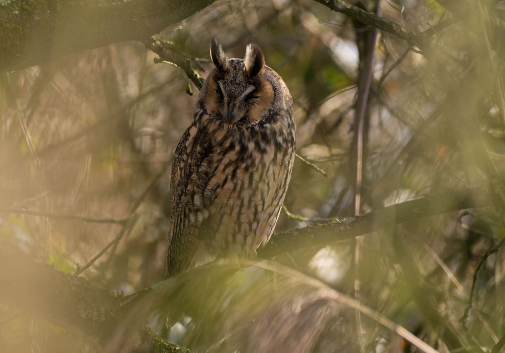 Photograph by Wendy Vanhoudt