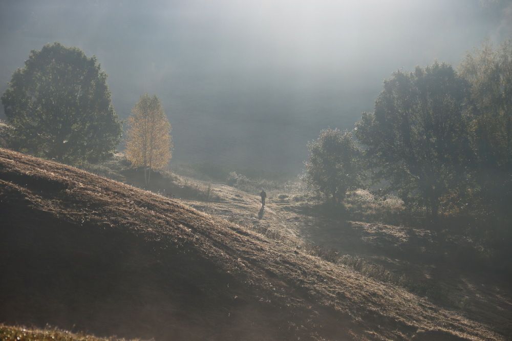 Photograph by Сергей Маслов