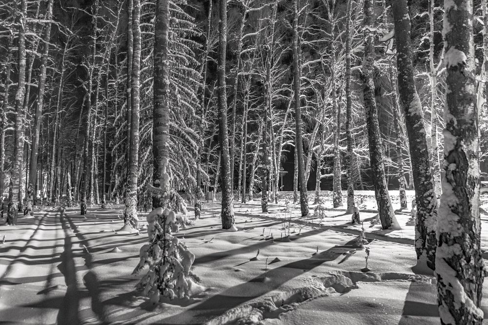 Photograph by Владимир Петухов