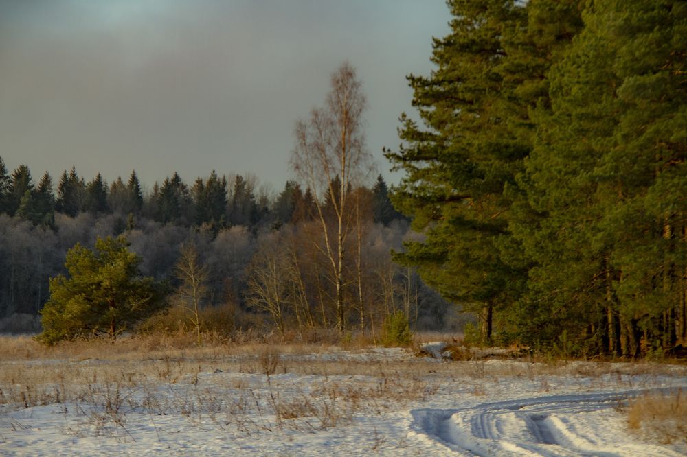 Photograph by Дмитрий Селицкий