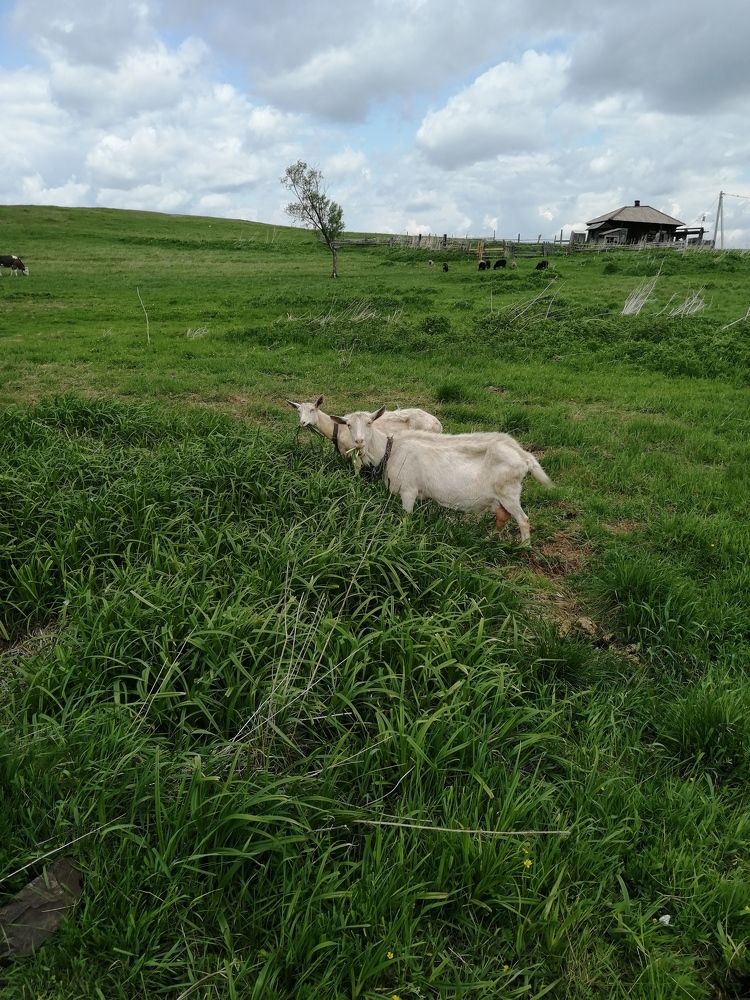 Photograph by Татьяна Шарлап