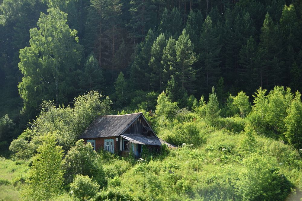 Photograph by Татьяна Шарлап