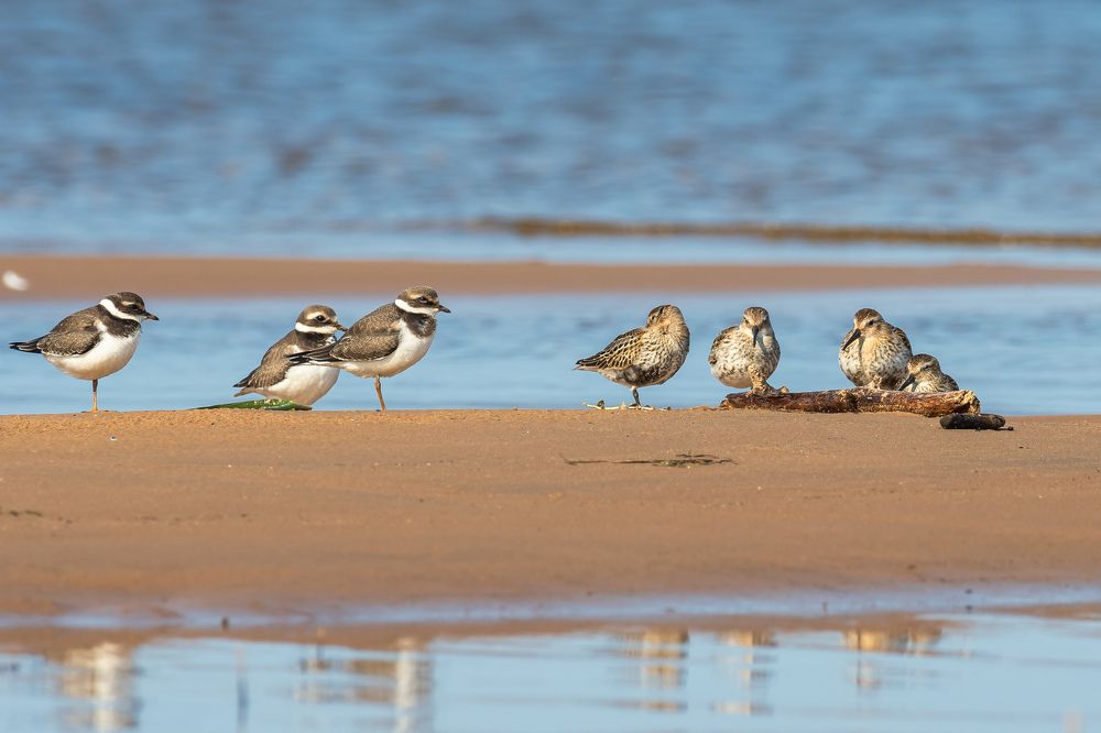 На привале.
