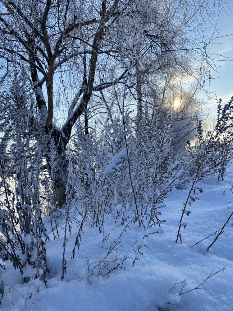 Photograph by Наталья Богаткина