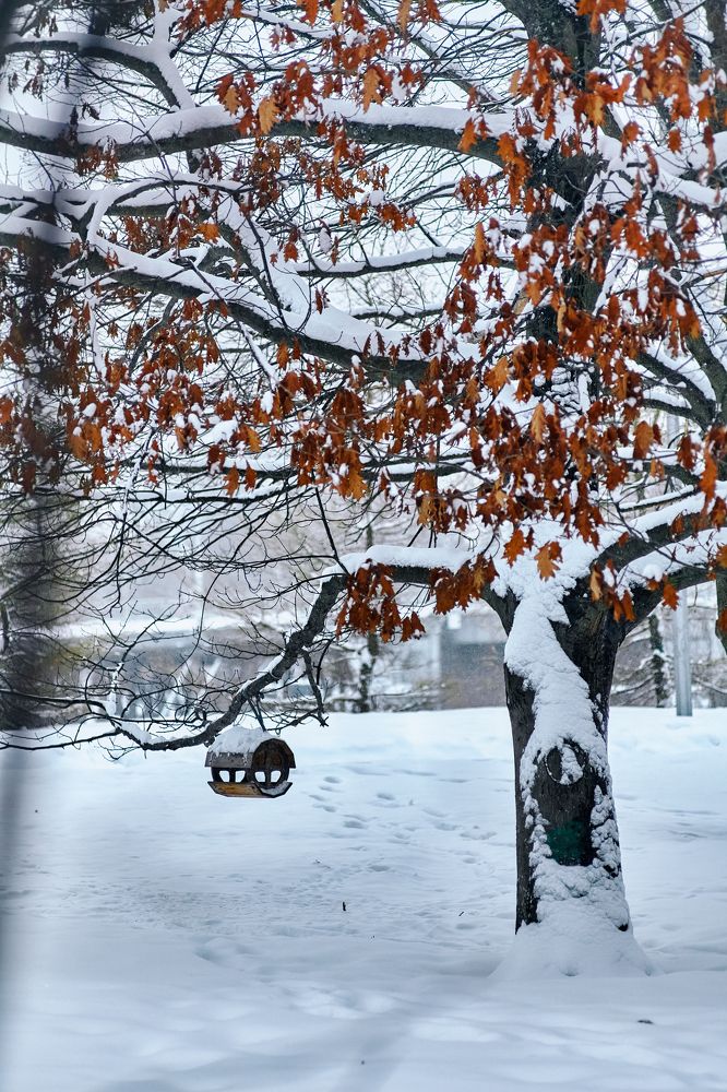 Фотография автора Екатерина Мишкель