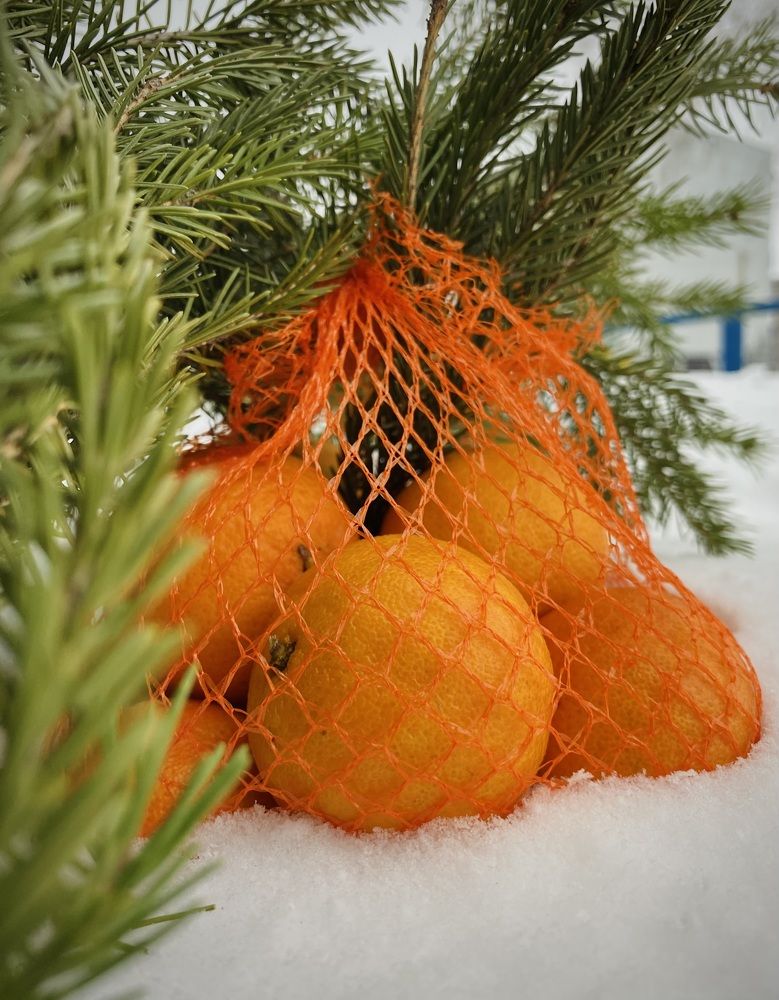 Photograph by Наталья Богаткина