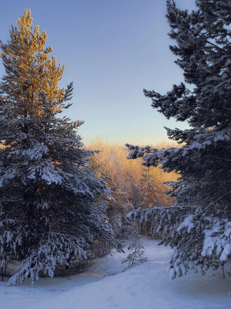 Photograph by Anna Chub