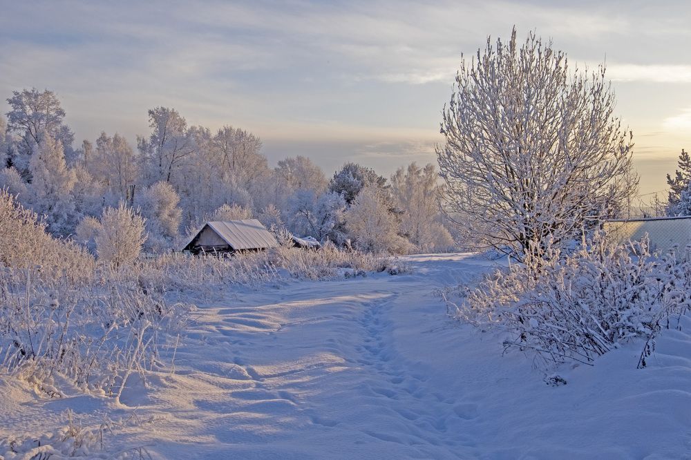 Фотография автора Наталья Липовская