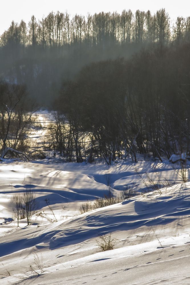 Photograph by Дмитрий Селицкий