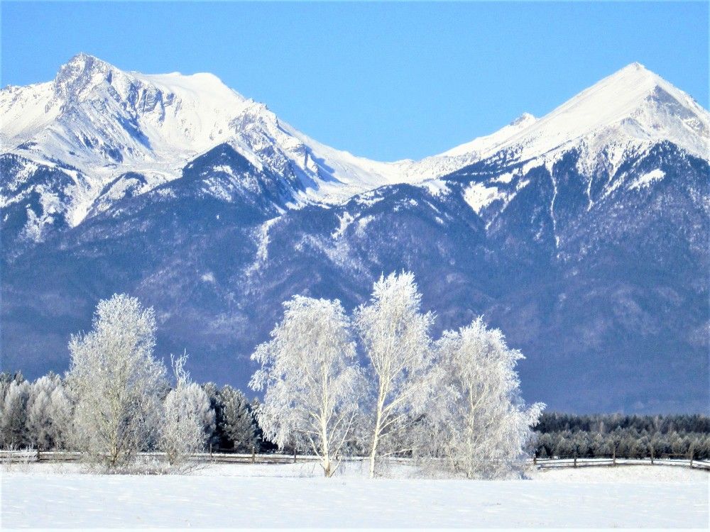 Зимняя сказка