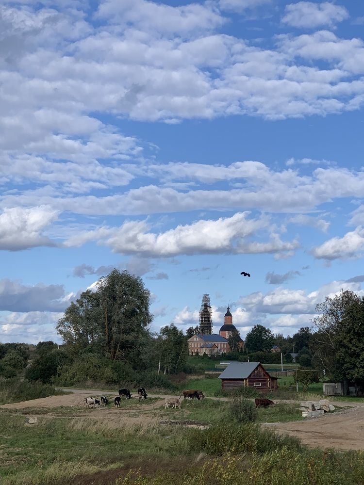 Картина маслом «Ярополецкое подворье» .