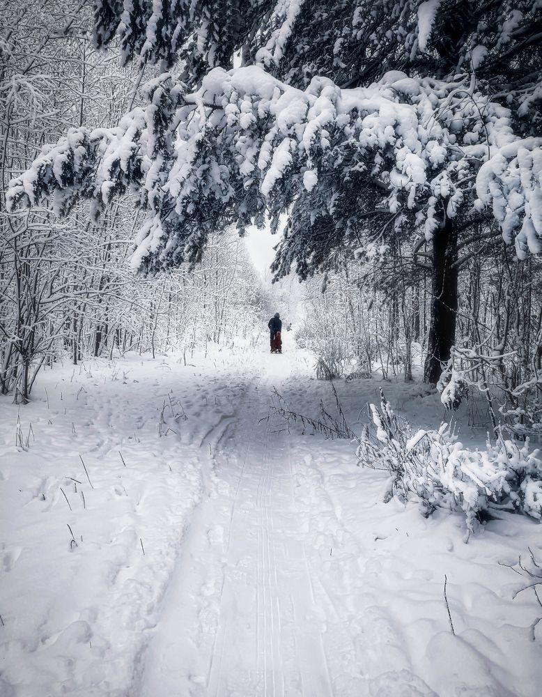 Photograph by Светлана Перминова