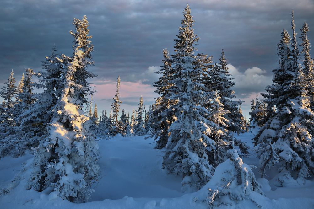 Photograph by Галина Хвостенко