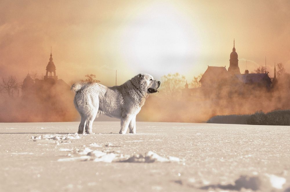 Photograph by Natasha Efanova