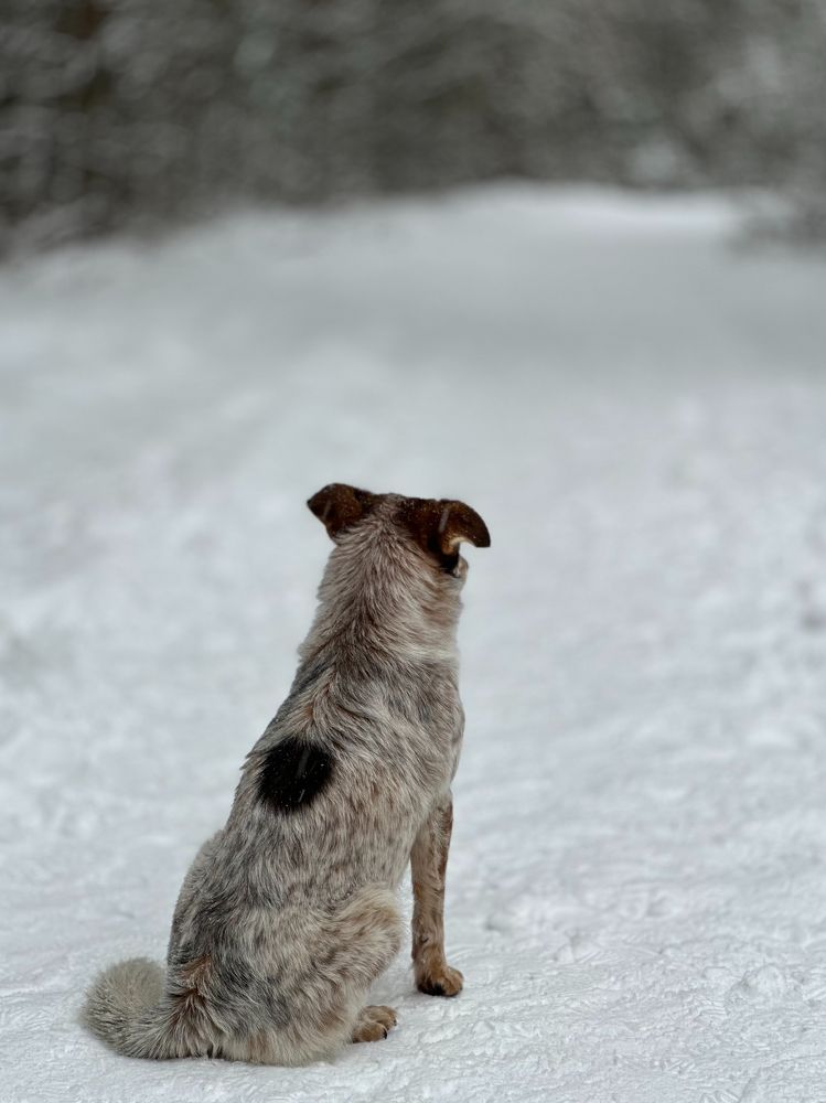 Photograph by Оксана Клюжева