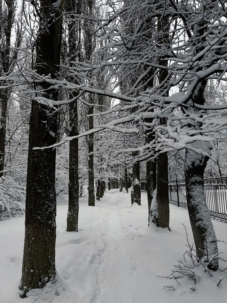 Photograph by Елена Клейменова