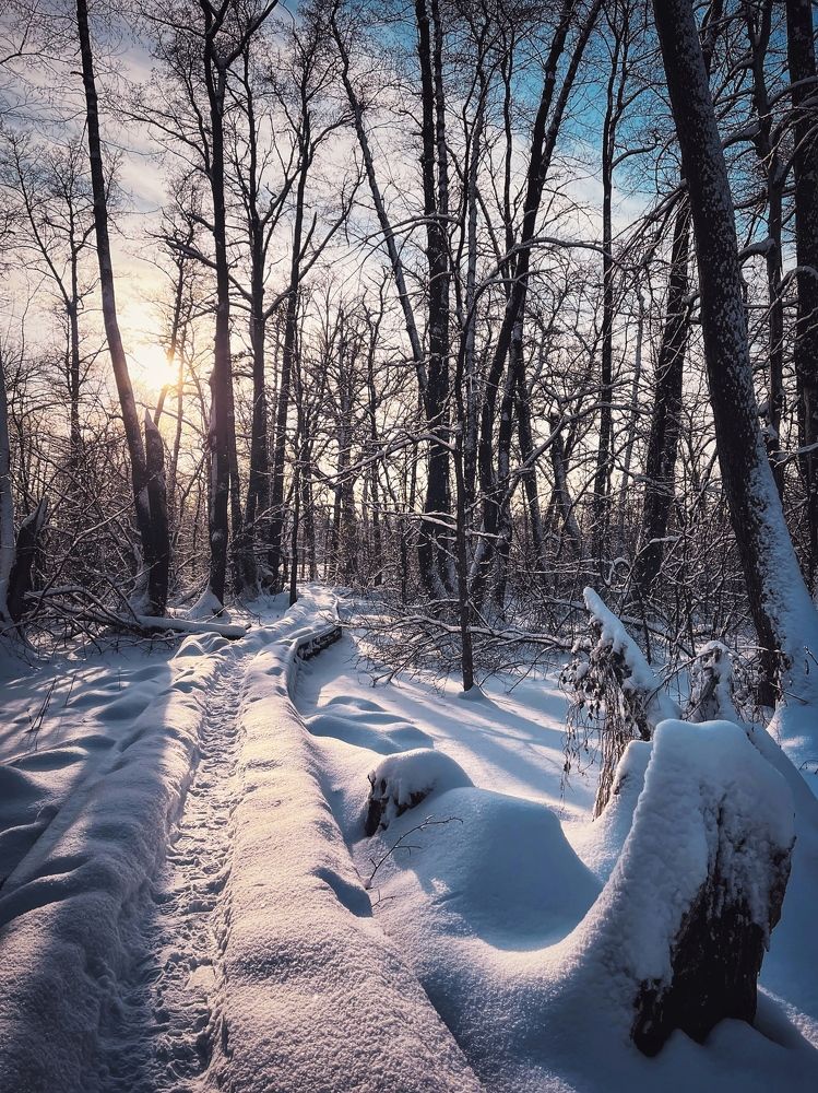 Photograph by Виктория Селютина