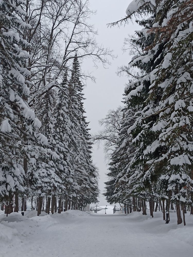 Photograph by Игорь Максимов