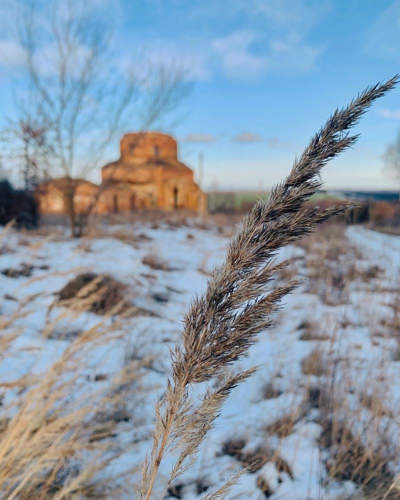 Photograph by Natasha Efanova