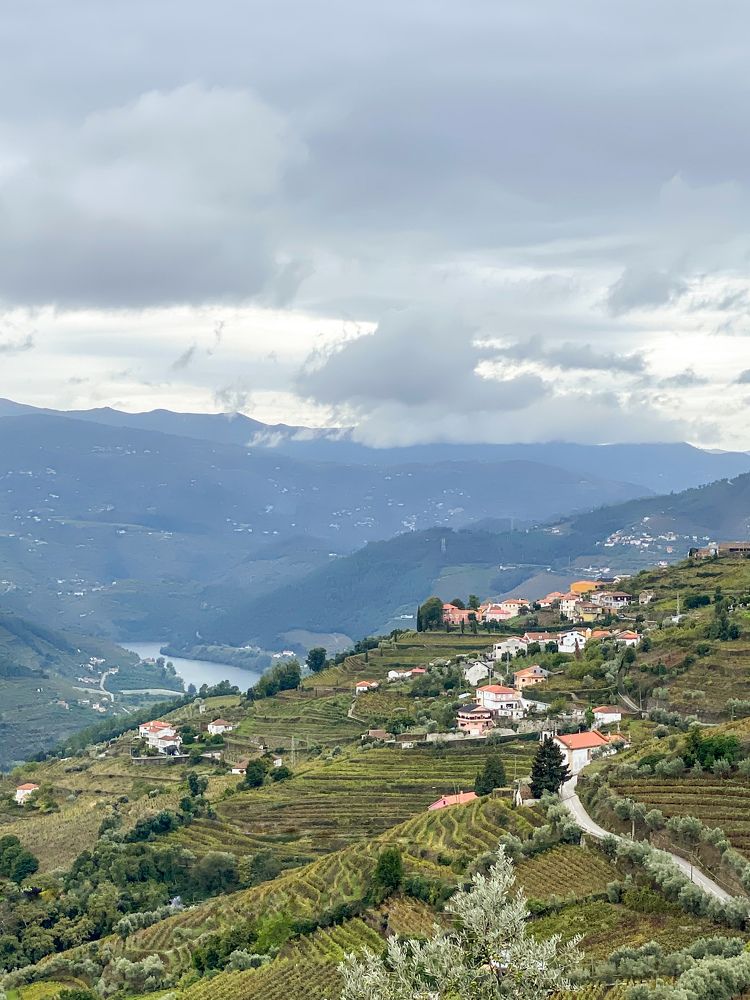 Фотография автора Лариса Гришкевич