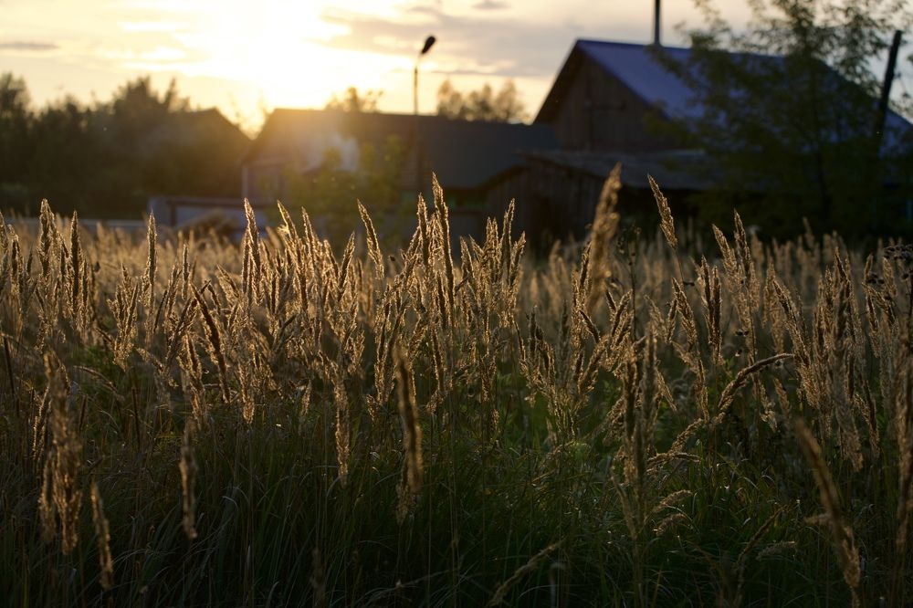 Фотография автора Viktoriya Kim