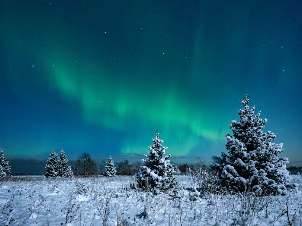 Photograph by Jurate Kastritskaja