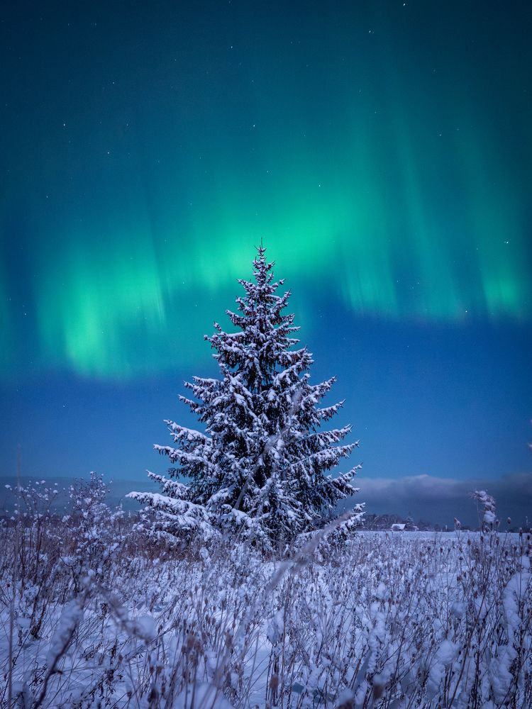 Photograph by Jurate Kastritskaja