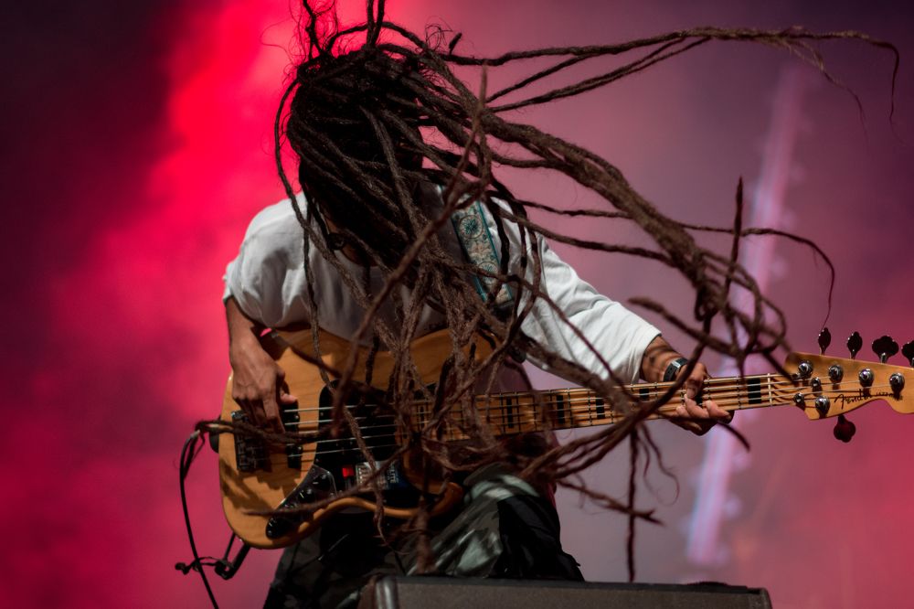 Photograph by Nivedh A M